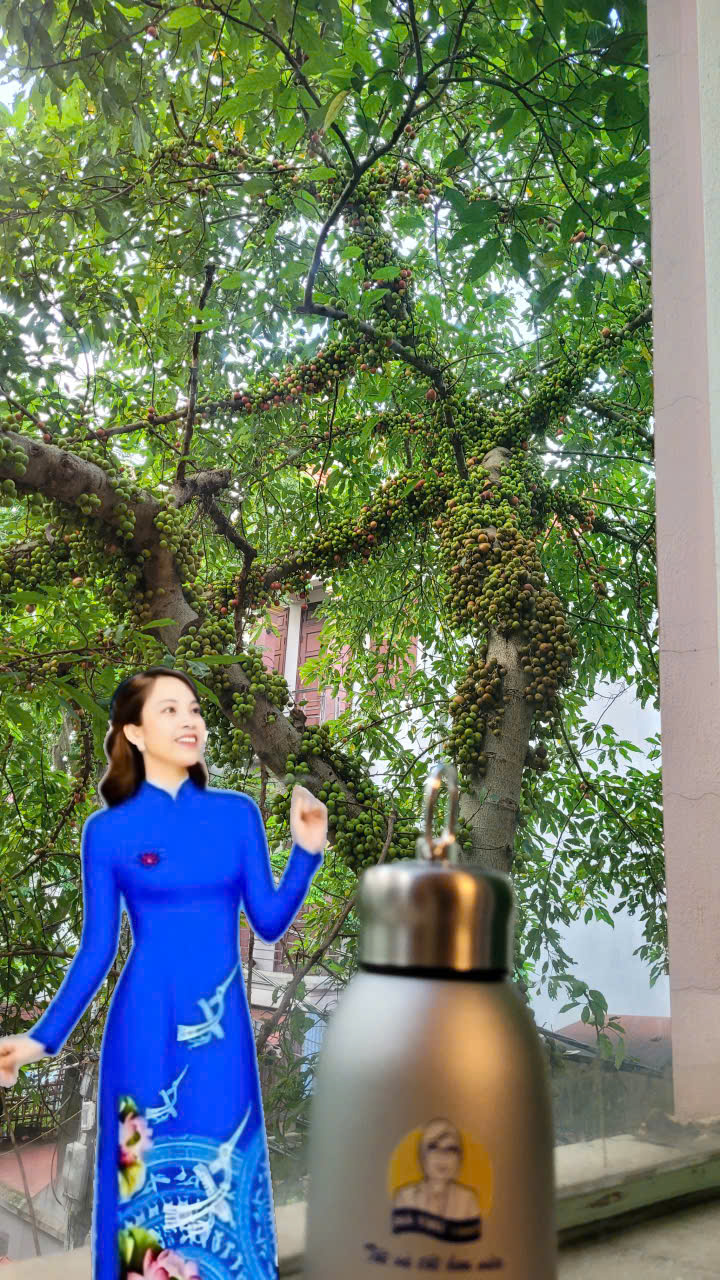 Ngữ văn 10 - Học chủ động, Bộ KNTT&CS